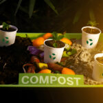 Kitchen Compost