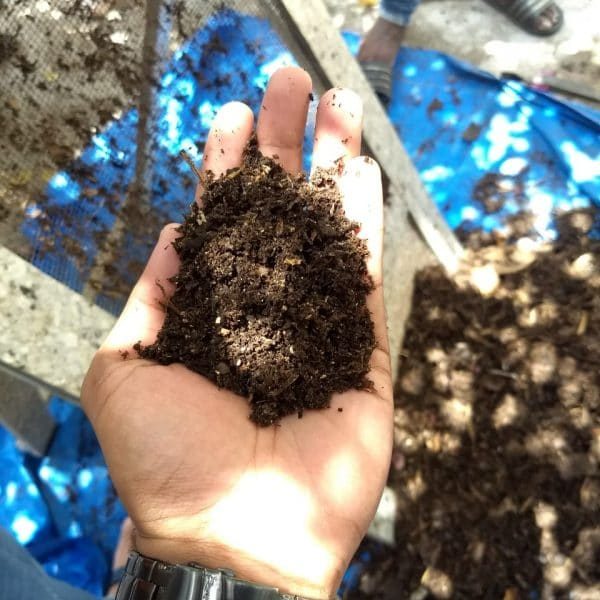 Green Gold Compost